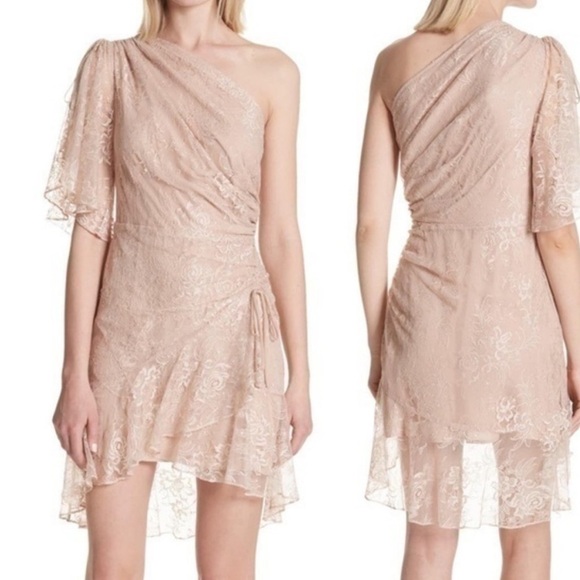 A.L.C. One Shoulder Lace Blush Dress Size 4 NWT - Picture 1 of 8